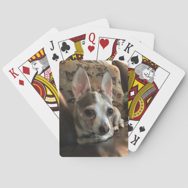 Chihuahua Hund Spielkarten (Rückseite)