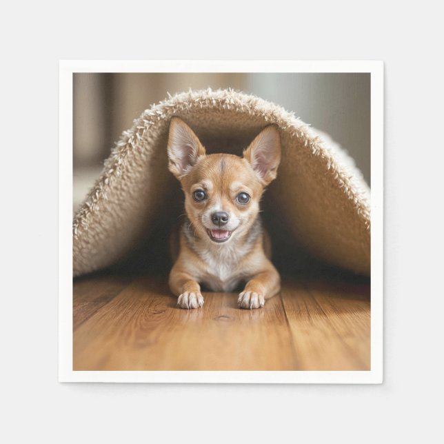 Chihuahua Hund unter einer Rug Serviette (Vorderseite)