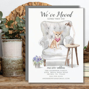 Chihuahua Hund Wir haben uns bewegt bewegende Ankü Ankündigung