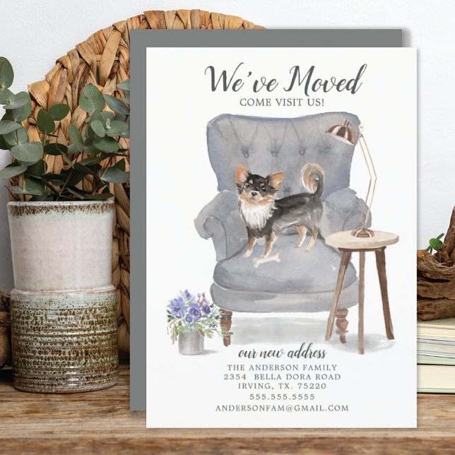 Chihuahua Hund Wir haben uns bewegt bewegende Ankü Ankündigung (Von Creator hochgeladen)