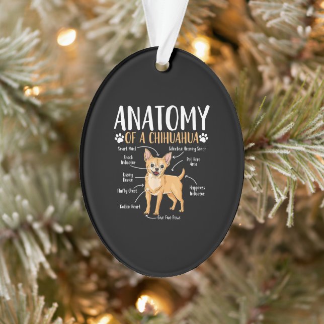 Chihuahua-Hunde-Anatomie Ornament (Baum)