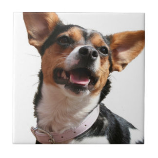 Chihuahua-Hundefliese Fliese