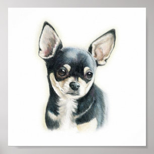 Chihuahua-Hundekunst-Druck Poster