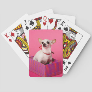 Chihuahua-Hundespielkarten Spielkarten