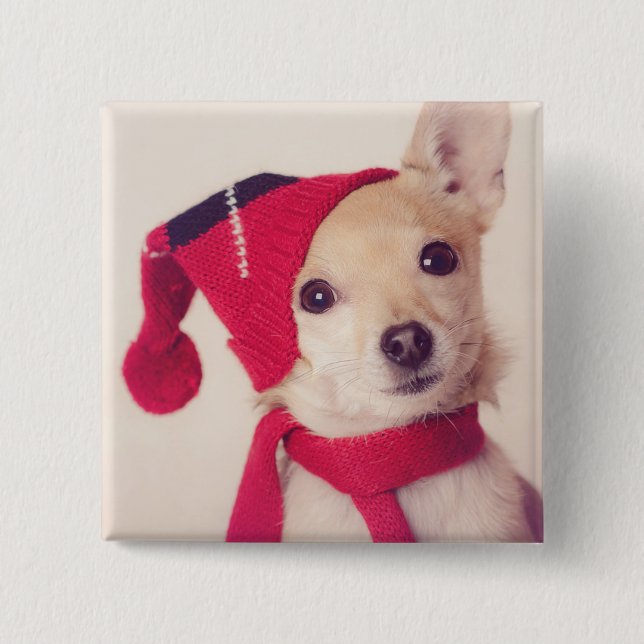 Chihuahua in der Winter-Kappe Button (Vorderseite)