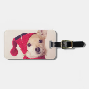 Chihuahua in der Winter-Kappe Gepäckanhänger