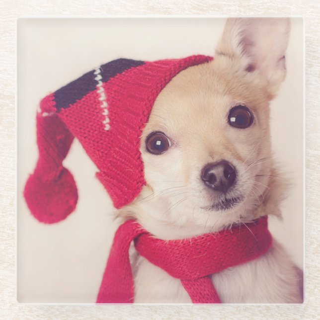 Chihuahua in der Winter-Kappe Glasuntersetzer (Vorderseite)