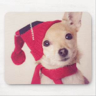 Chihuahua in der Winter-Kappe Mousepad