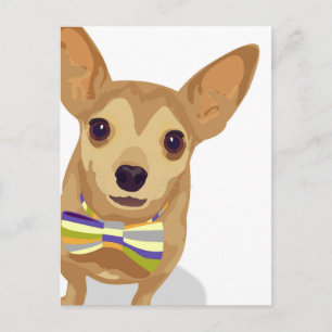 Chihuahua in einem Bowtie auf weißem Hintergrund Postkarte