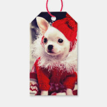 CHIHUAHUA IN EINER Weihnachtsmannmütze-Geschenkmar