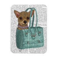 Chihuahua in Tasche