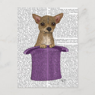 Chihuahua in Top Hat Postkarte