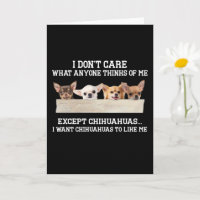 Chihuahua ist mir egal, was mir jemand denkt