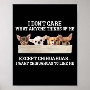 Chihuahua ist mir egal, was mir jemand denkt poster