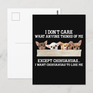 Chihuahua ist mir egal, was mir jemand denkt postkarte
