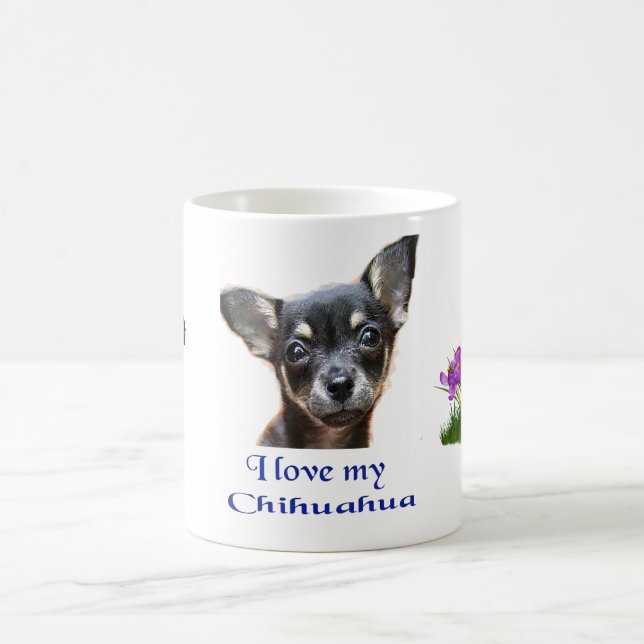 Chihuahua Kaffeetasse (Mittel)