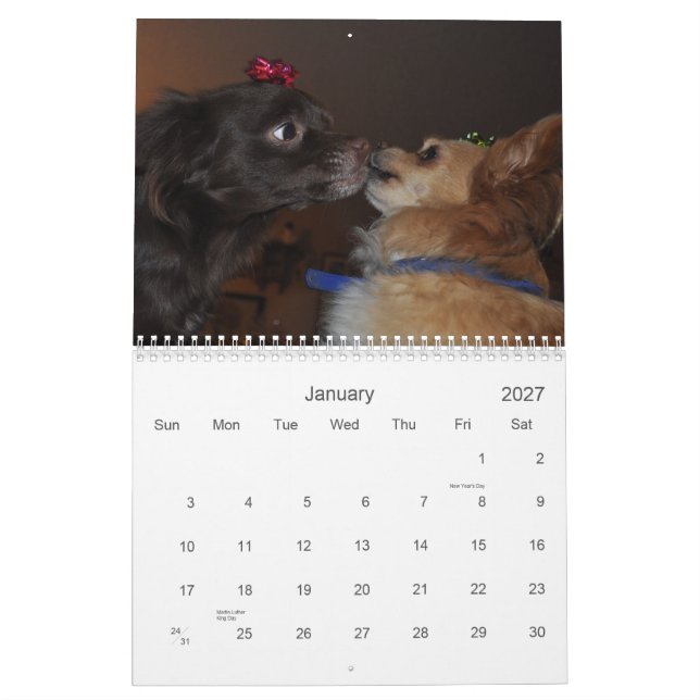 Chihuahua Kalender (Jan 2027)