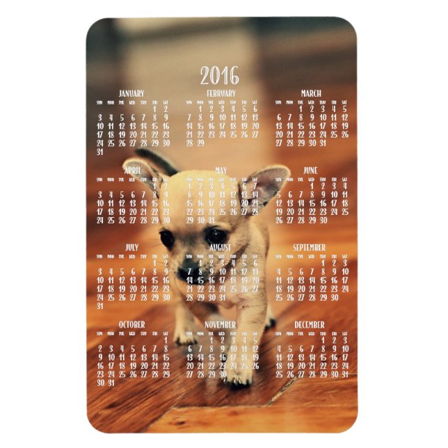 Chihuahua Kalender 2016 Foto Magnet 4x6 Groß (Vertikal)