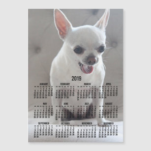 Chihuahua Kalender 2019 Magnetic Foto Card 12x18 Magnetkarte