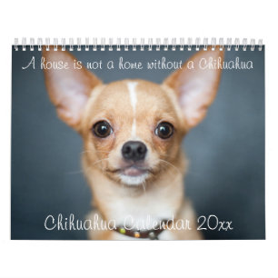 Chihuahua Kalender 2023 House ist kein Zuhause-Fot