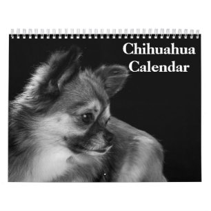 Chihuahua-Kalender 2025 Kalender
