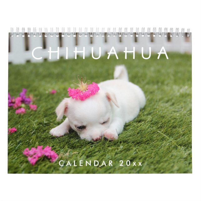 Chihuahua Kalender 2026 Fotos hinzufügen (Titelbild)