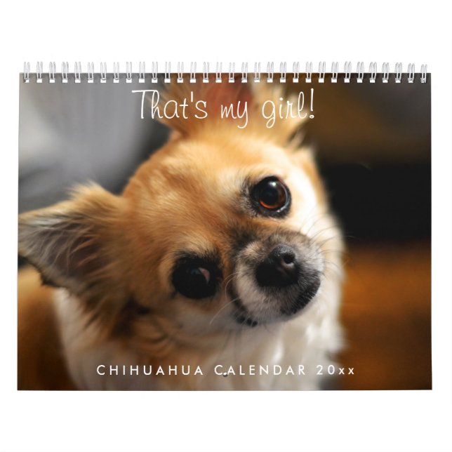 Chihuahua-Kalender 2026 Kalender (Titelbild)