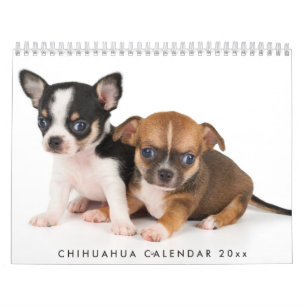 Chihuahua-Kalender 2026 mit Ihren Fotos Kalender