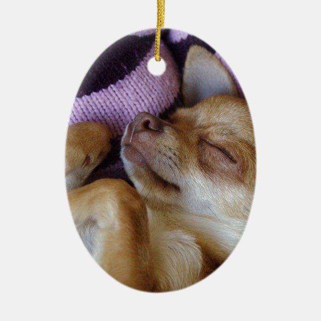 Chihuahua Keramik Ornament (Vorne)