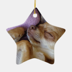 Chihuahua Keramik Ornament