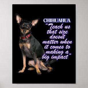 Chihuahua lehrt uns diese Größe Doents, wenn es ko Poster