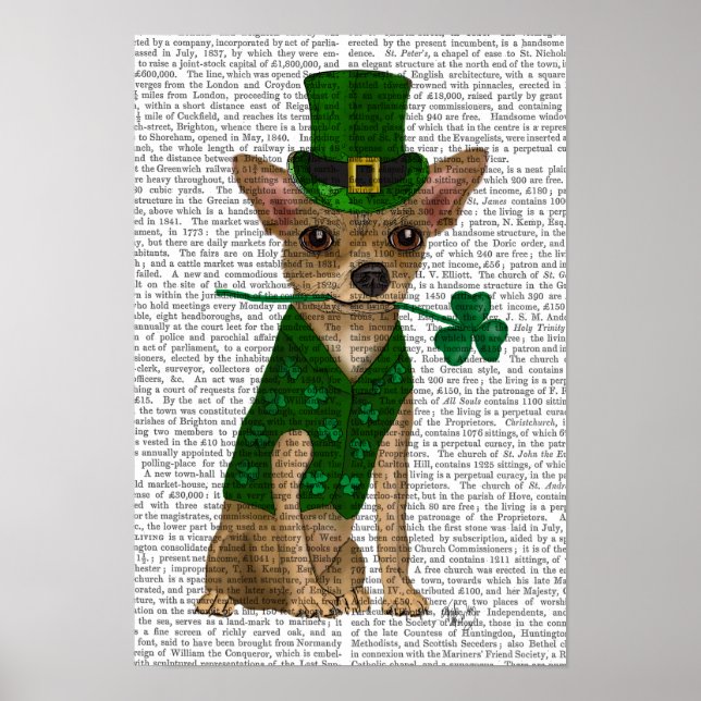 Chihuahua Leprechaun Poster (Vorne)