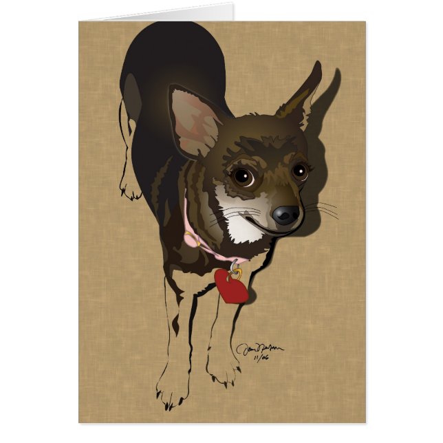 Chihuahua-Liebe (Vorne)