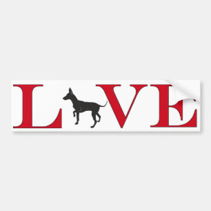 Chihuahua Lover Autoaufkleber