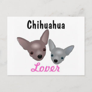 Chihuahua Lover Postkarte
