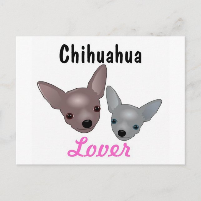 Chihuahua Lover Postkarte (Vorderseite)