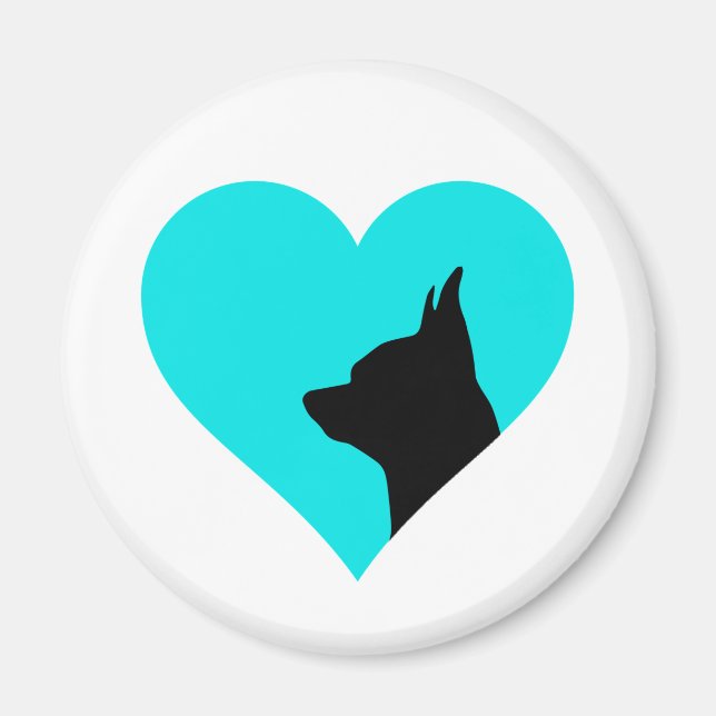 Chihuahua-Magnet Magnet (Vorne)