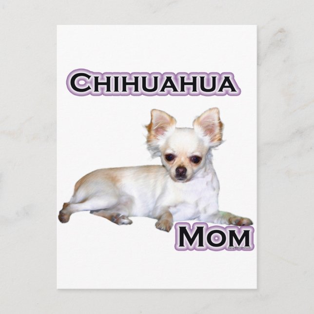 Chihuahua-Mama 4 Postkarte (Vorderseite)