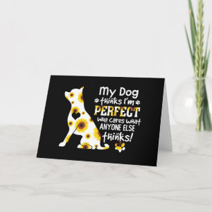 Chihuahua mein Hund denkt, ich sei perfekt, der si Karte