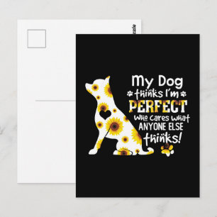 Chihuahua mein Hund denkt, ich sei perfekt, der si Postkarte