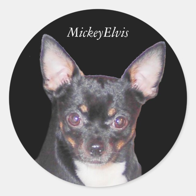 Chihuahua MickeyElvis Sticker (Vorderseite)
