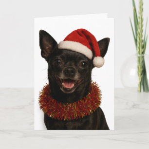 Chihuahua mit frechem Blick im Weihnachtsmann-Hut Karte