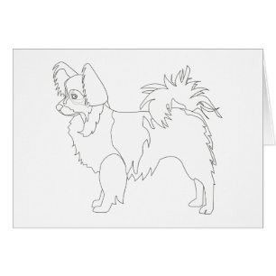 Chihuahua mit langhaariger Oberfläche farbbereit u