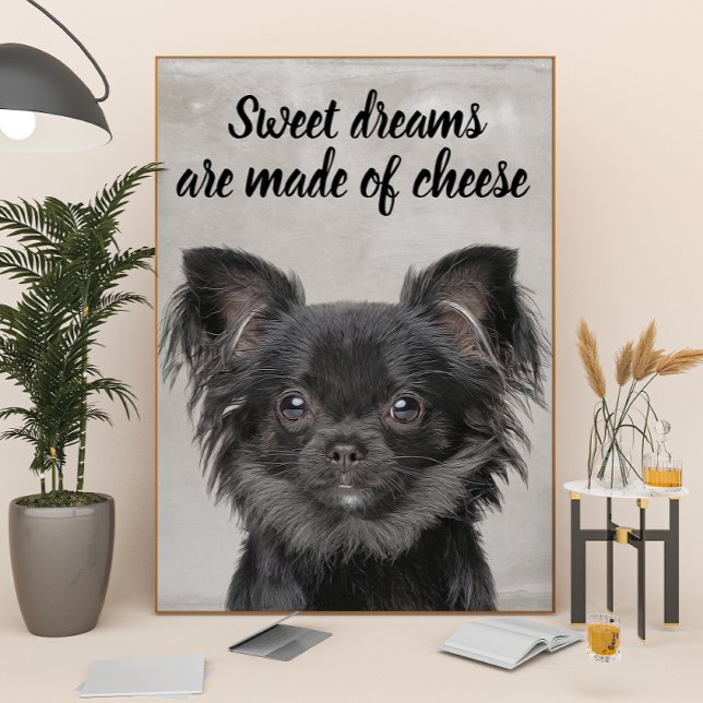 Chihuahua mit lustigem Hundebandposter Poster (Von Creator hochgeladen)