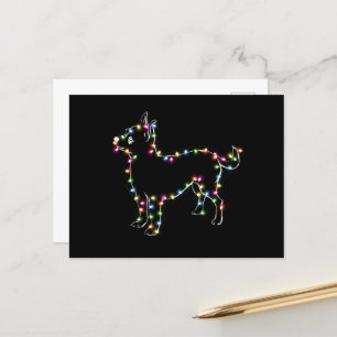 Chihuahua mit Weihnachts-Light-Hund Liebhaber Weih Postkarte
