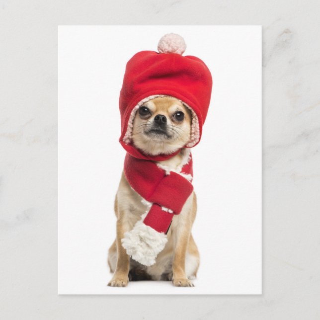 Chihuahua mit Weihnachtshut und Scarf Feiertagspostkarte (Vorderseite)