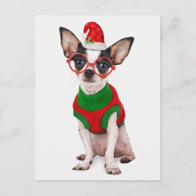 Chihuahua mit Weihnachtsmannmütze und Gläsern Feiertagspostkarte (Vorderseite)