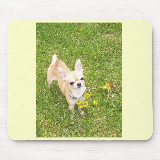 Chihuahua Mousepad (Vorne)