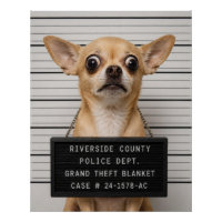 Chihuahua-Mugshot: Schwerer Diebstahl einer Decke