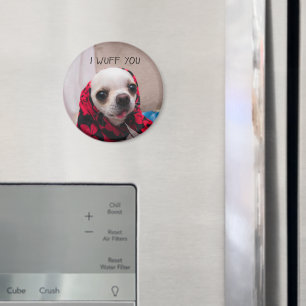 Chihuahua niedlich, ich wähe dir Liebe Valentines Magnet